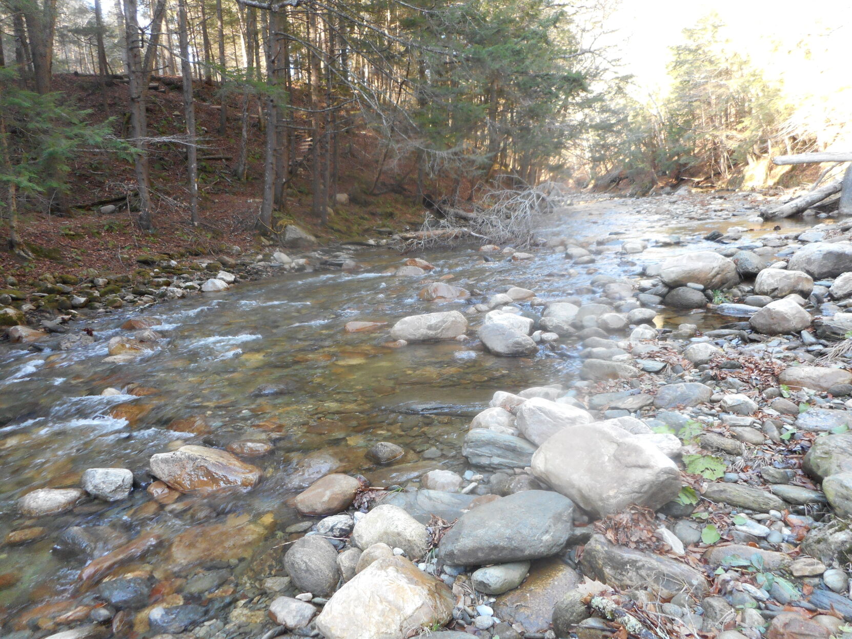 Cold River.JPG